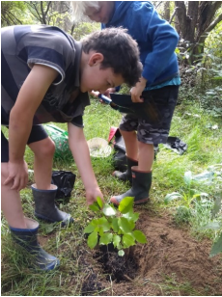 Kids planting trees
